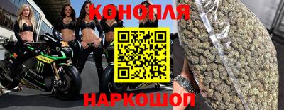 дживик Камышлов