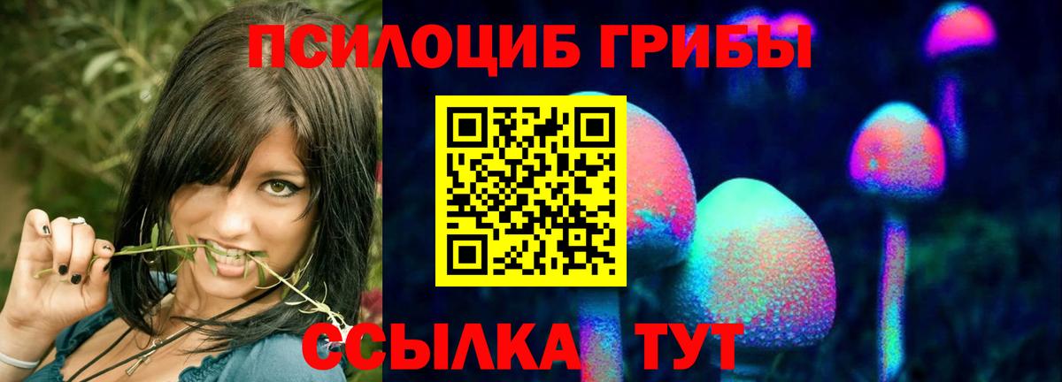 Галлюциногенные грибы ЛСД  Галлюциногенные грибы прущие грибы  Вход с VPN  Камень-на-Оби 